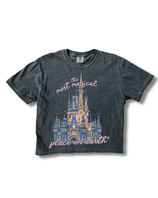 Most Magical Place On Earth Boxy Crop