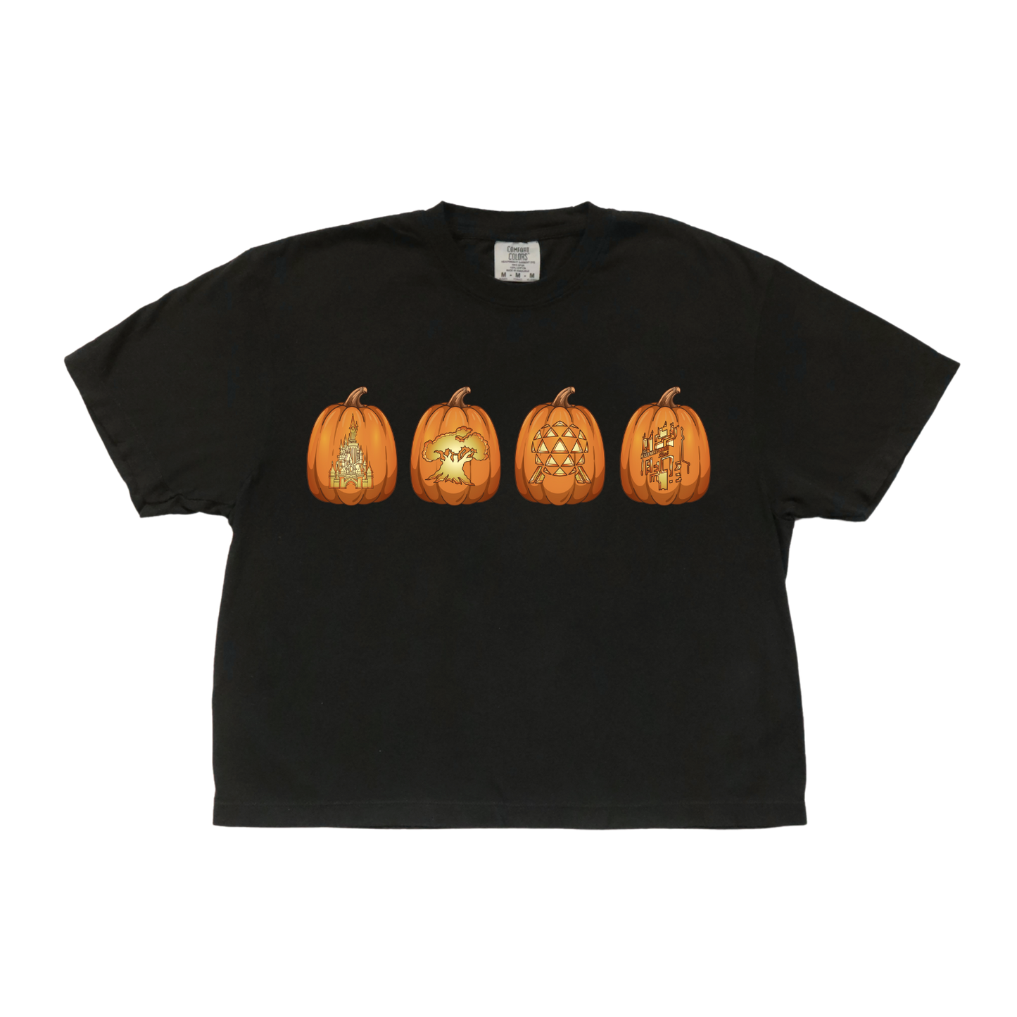 Park Icons Pumpkin Crop Tee