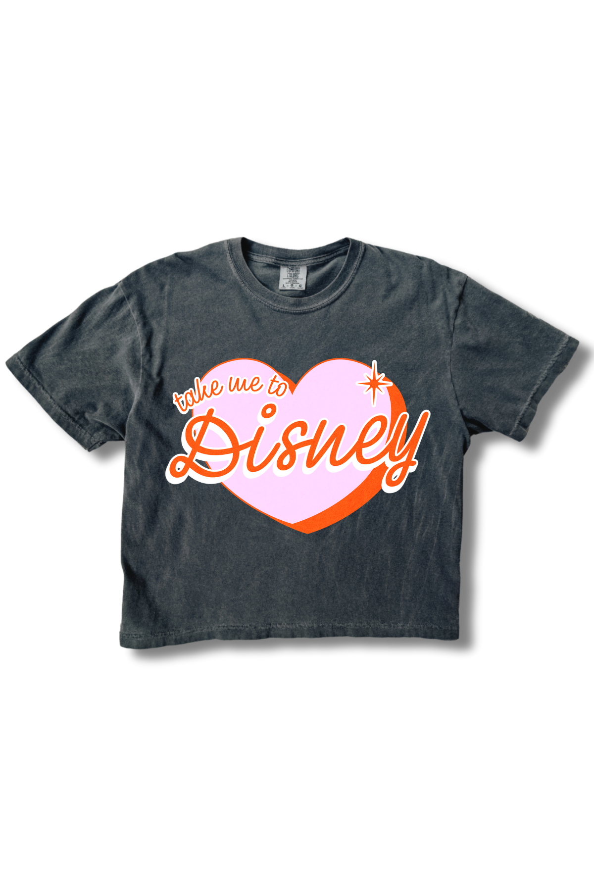 Take Me To Disney Crop