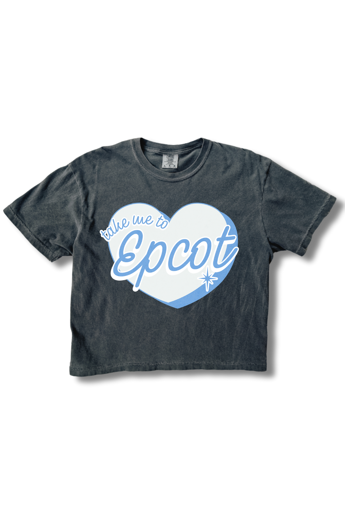 Take Me To Epcot Crop