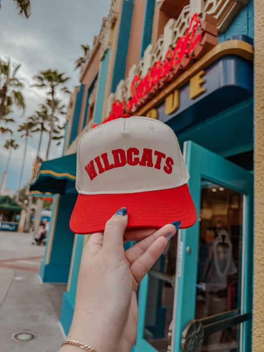 Wildcats Baseball Hat