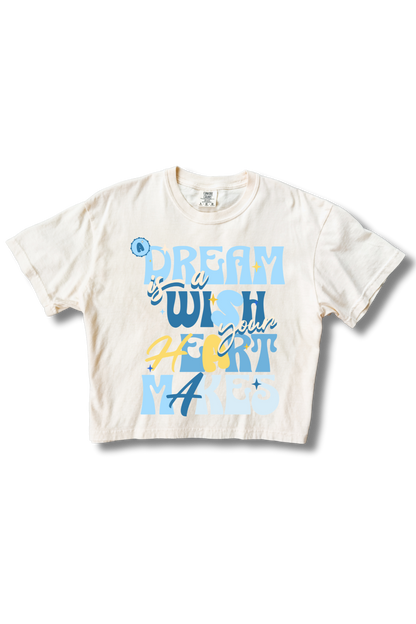 A Dream Is A Wish Crop