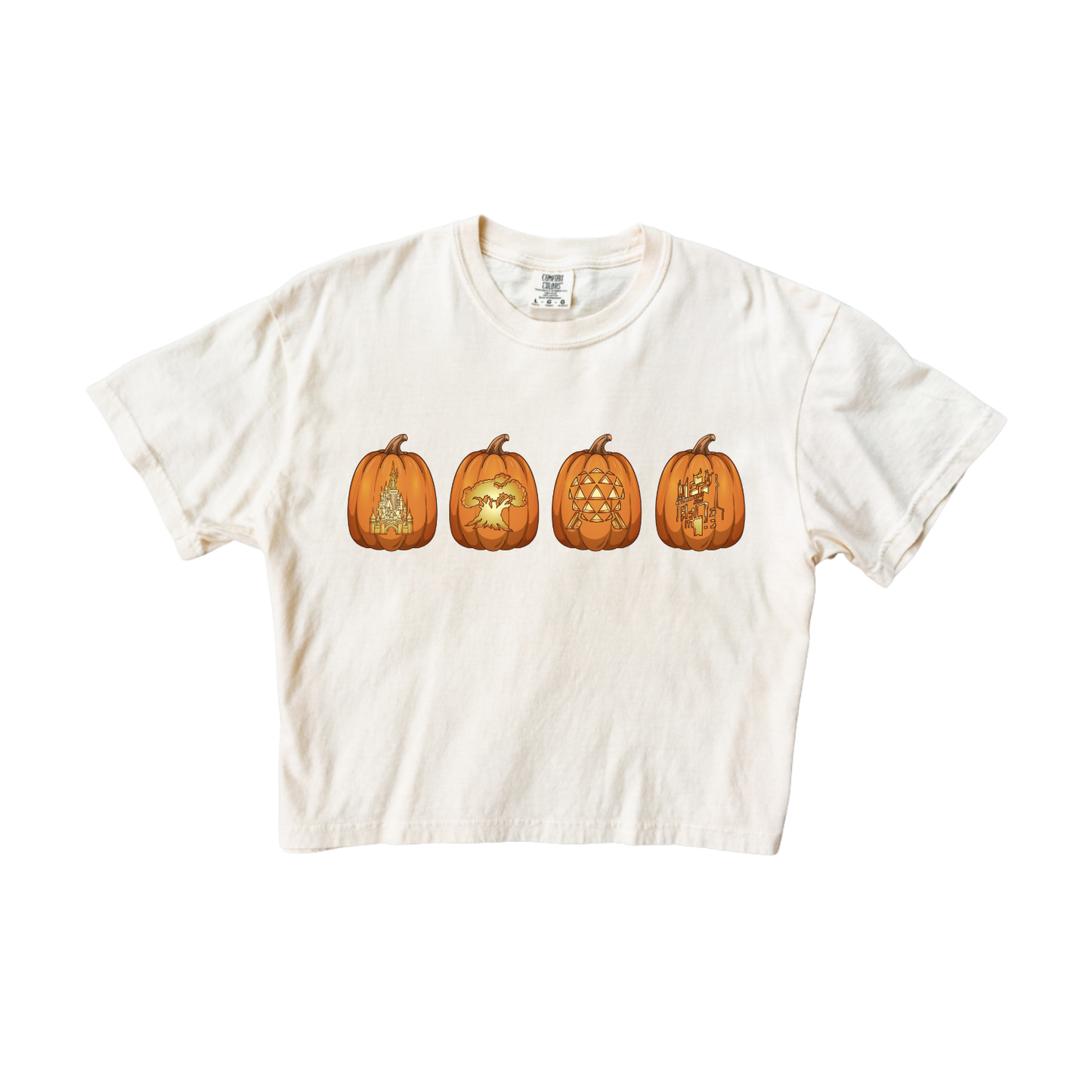 Park Icons Pumpkin Crop Tee